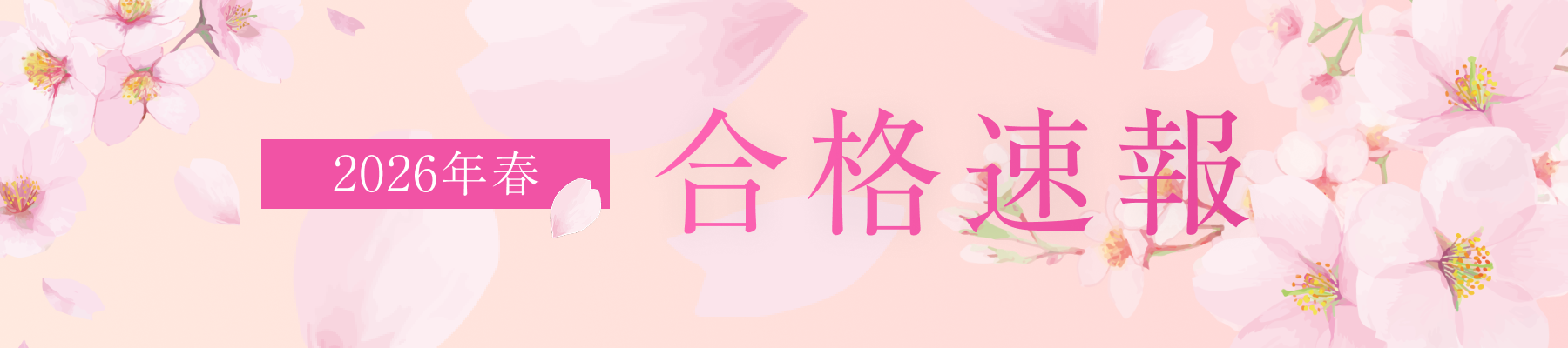 2026年春合格速報