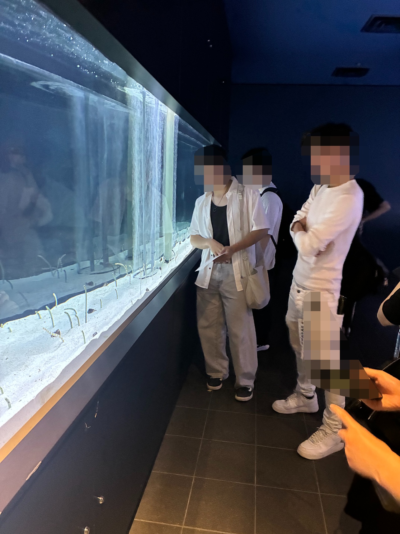 /upload/news/sumida4.jpg
